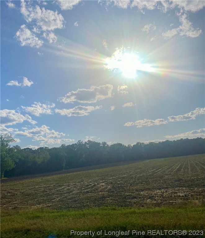 East Davis Road Fairmont, NC 28340 - Photo 2 of 2