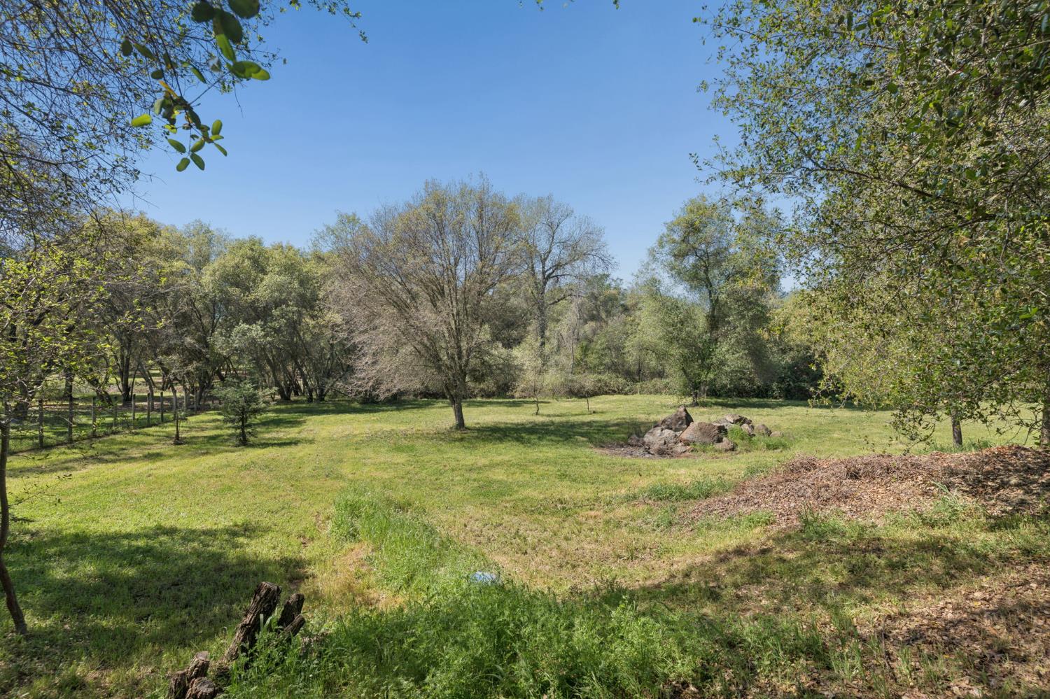 5180 Remuda Court Shingle Springs, CA 95682 - Photo 73 of 88 a view of a park with large trees