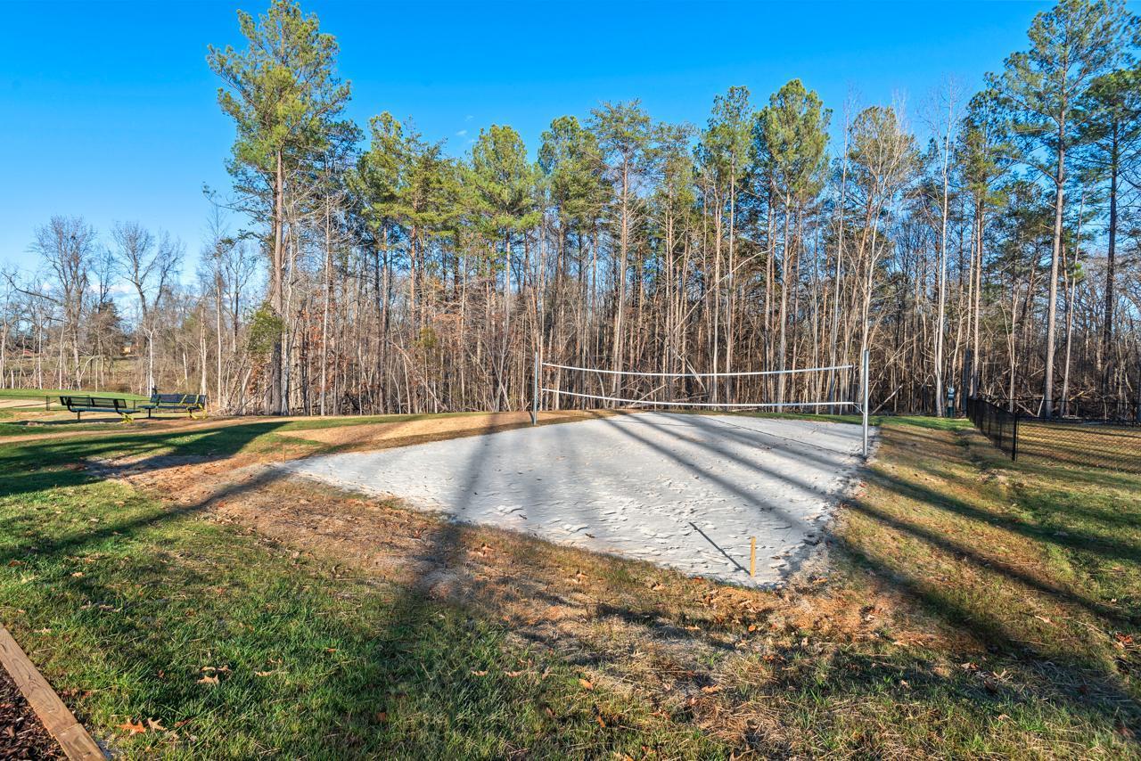 223 South Eleventh Street, Unit 103 Mebane, NC 27302 - Photo 38 of 41 a view of a yard with palm trees