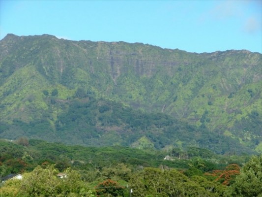 820 Kamalu Road, Unit A Kapaa, HI 96746 - Photo 2 of 2 Gallery Image 2