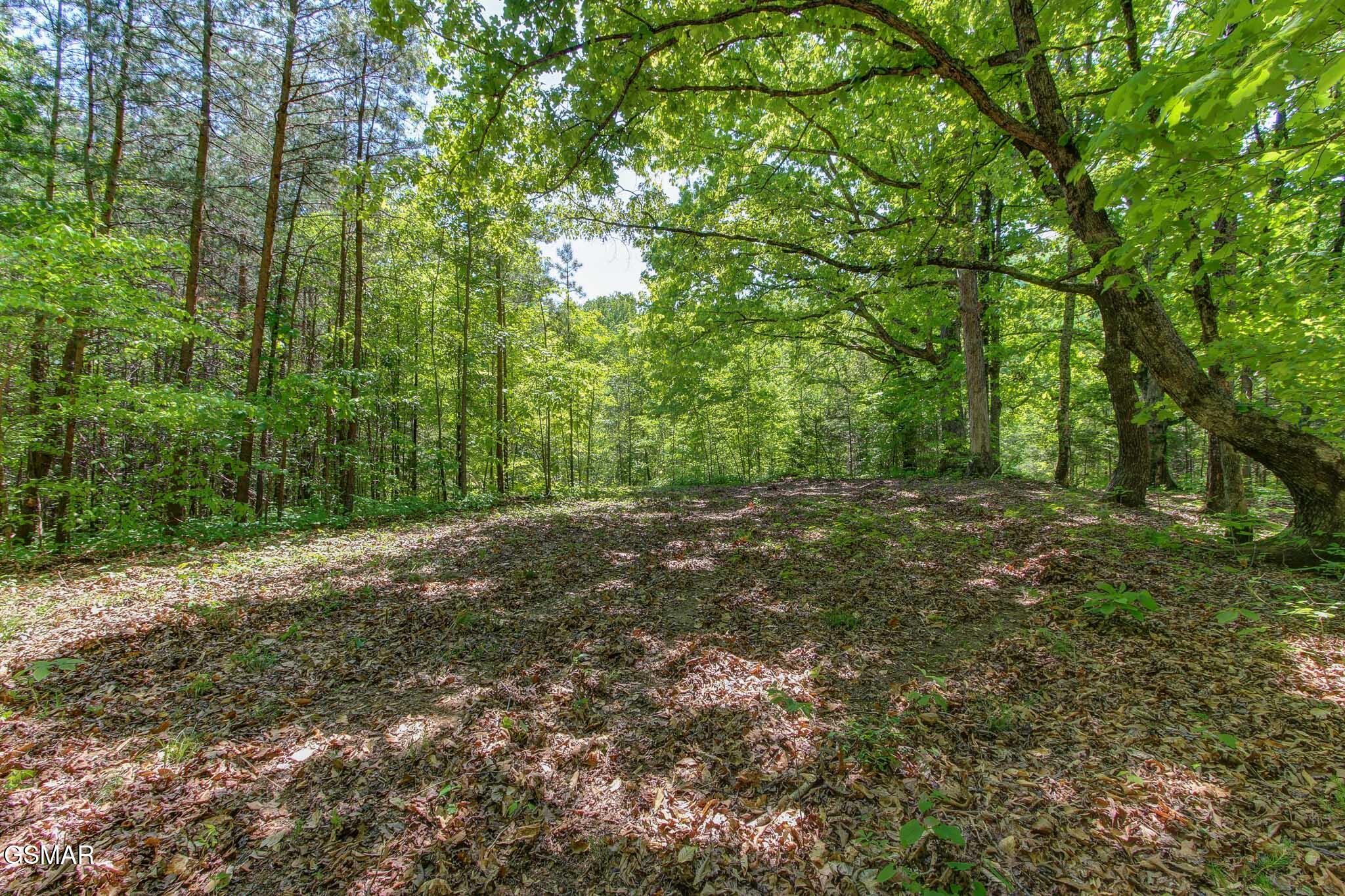 3882 Thomas Cross Road Sevierville, TN 37876 - Photo 77 of 80 Gallery Image 77