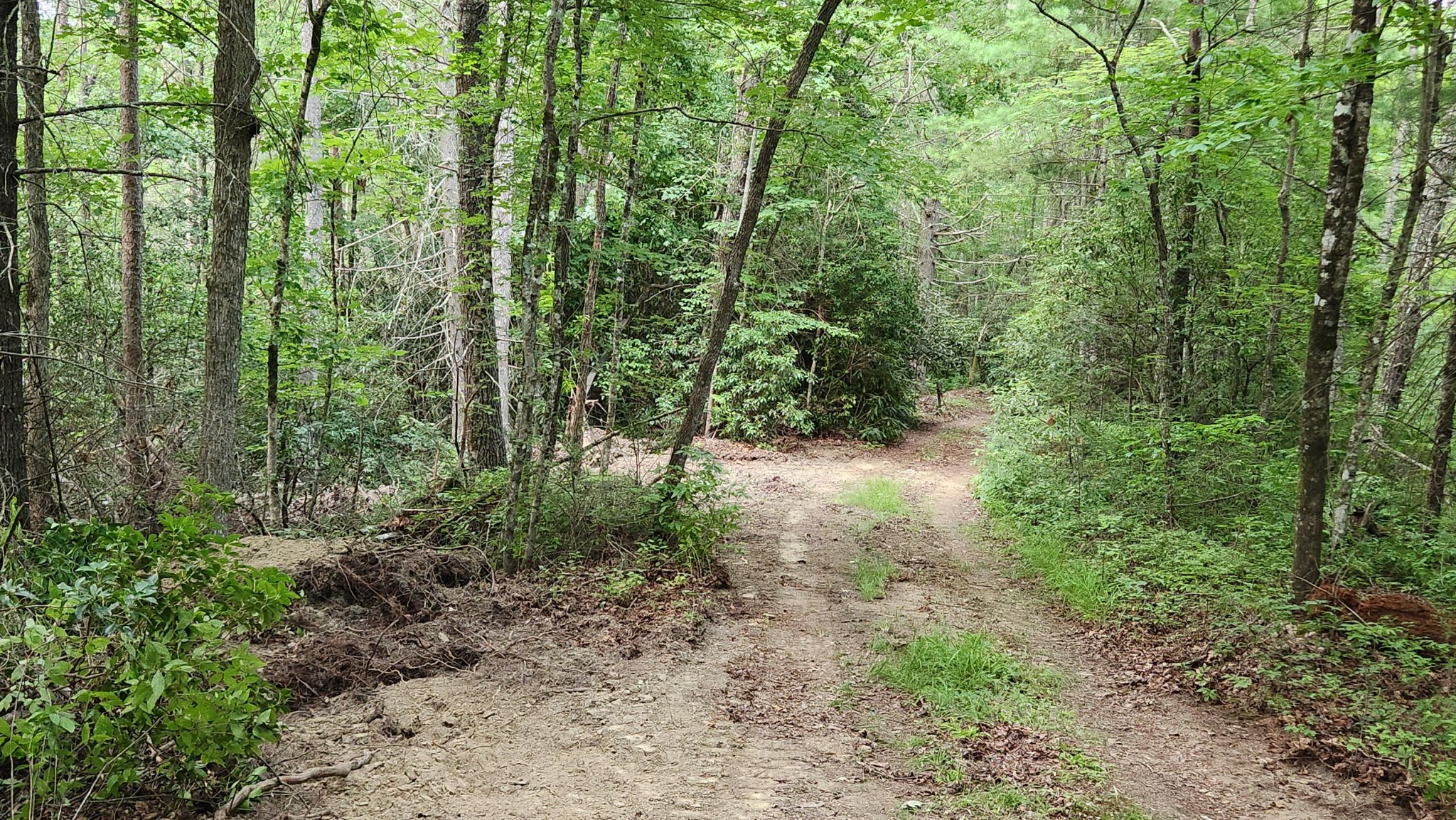 0 Tumbling Creek Road Copperhill, TN 37317 - Photo 49 of 62
