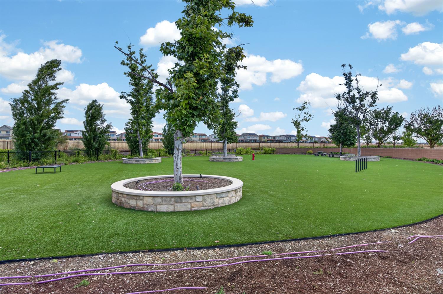 4185 Ryan Lane Madera, CA 93636 - Photo 12 of 63 a view of a golf course with a garden