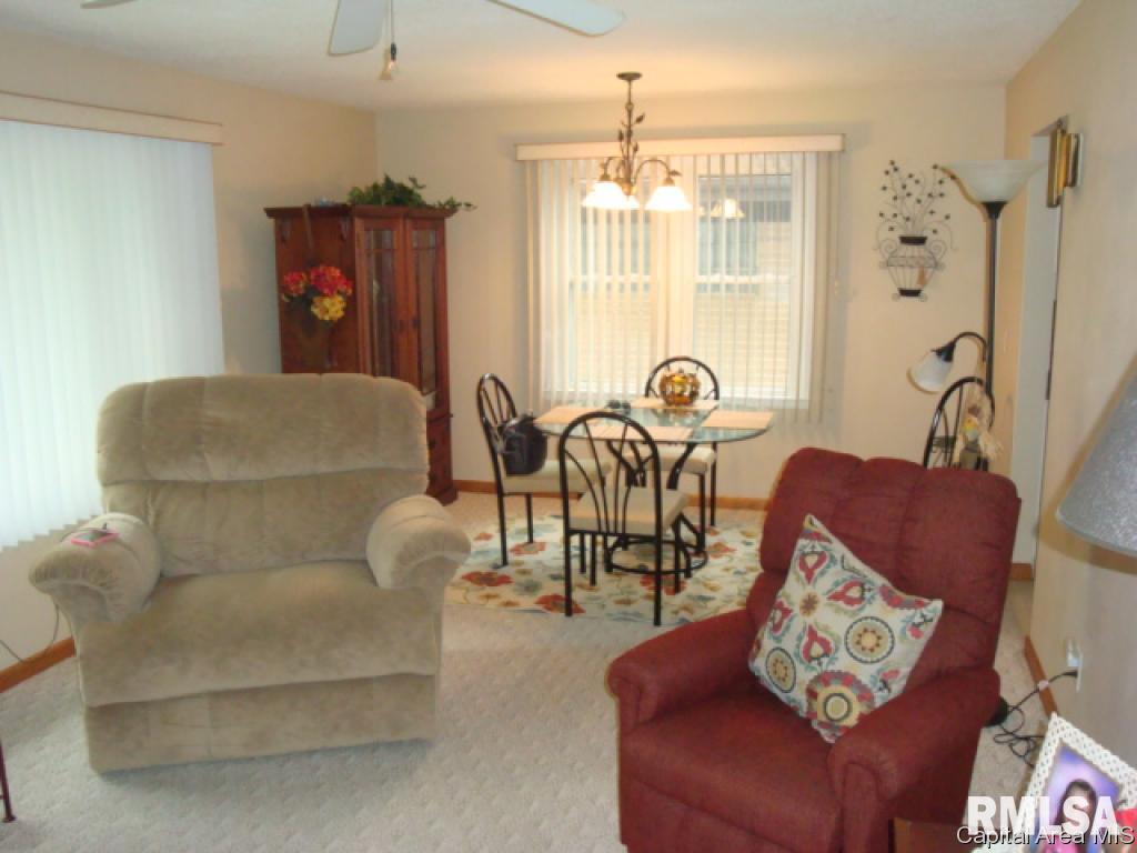 3206 South Spring Street Springfield, IL 62703 - Photo 6 of 13