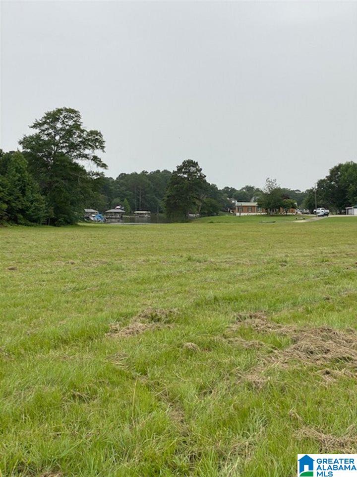 Masters Road, Unit 5 Pell City, AL 35128 - Photo 2 of 9 Gallery Image 2