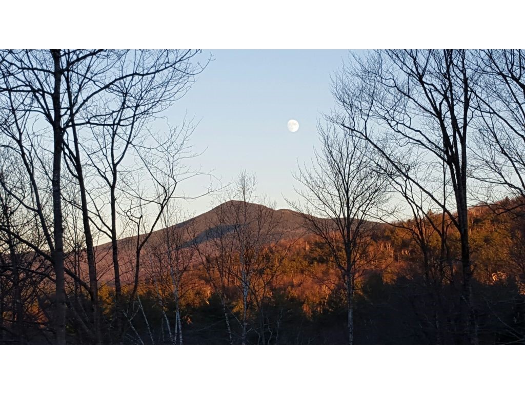90 Oak Ridge Road Bartlett, NH 03838 - Photo 3 of 19 Gallery Image 3