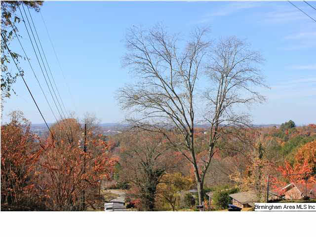 0 Lynn Road, Unit 38 ACRES Anniston, AL 36207 - Photo 4 of 9 Gallery Image 4