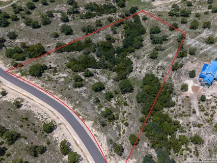 a view of a forest with a park