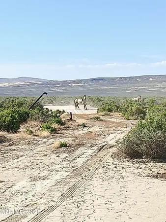 $45,000 | 6055 Flanigan Road, Reno, NV 89510