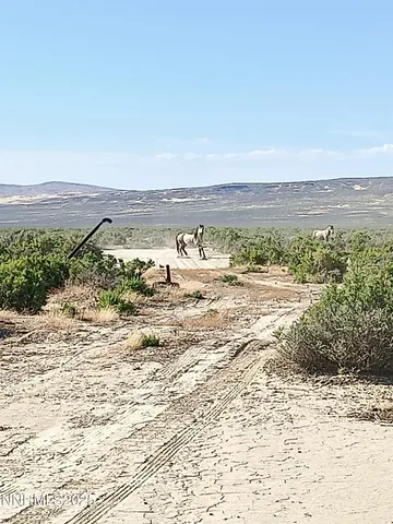 $45,000 | 6055 Flanigan Road, Reno, NV 89510