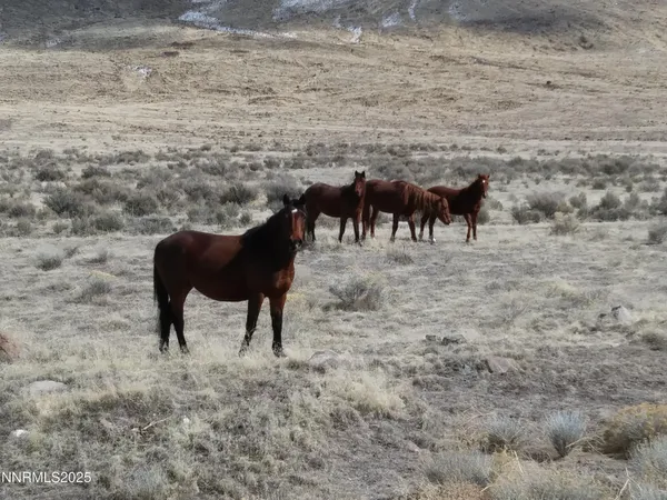 $45,000 | 6055 Flanigan Road, Reno, NV 89510