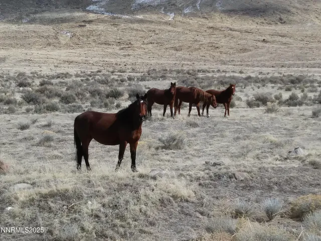 $45,000 | 6055 Flanigan Road, Reno, NV 89510