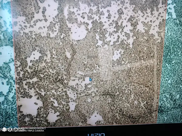 $45,000 | 6055 Flanigan Road, Reno, NV 89510