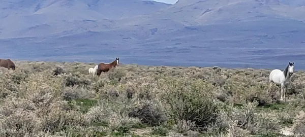 $45,000 | 6055 Flanigan Road, Reno, NV 89510