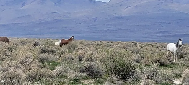 $45,000 | 6055 Flanigan Road, Reno, NV 89510