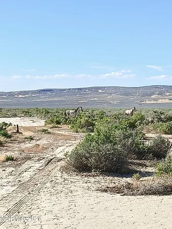 $45,000 | 6055 Flanigan Road, Reno, NV 89510