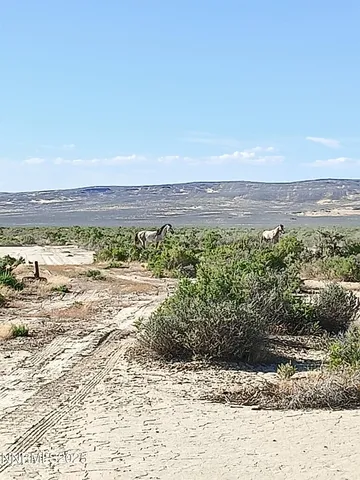 $45,000 | 6055 Flanigan Road, Reno, NV 89510