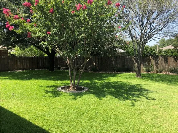 a backyard of a house with lots of plants and large tree