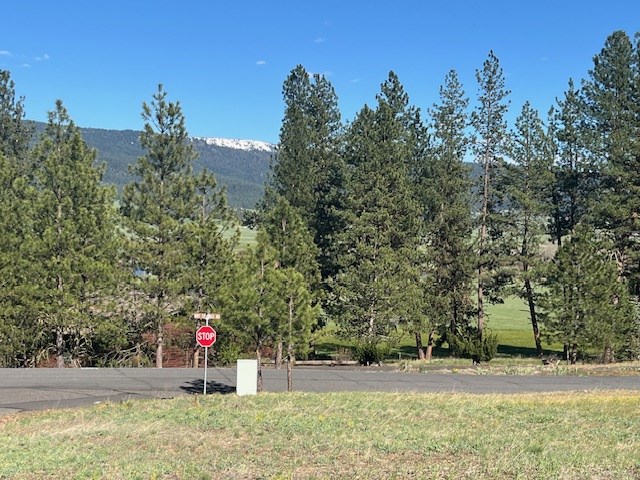 B11-l9 Hot Springs Road, Unit 9 New Meadows, ID 83654 - Photo 18 of 20