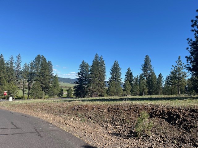 B11-l9 Hot Springs Road, Unit 9 New Meadows, ID 83654 - Photo 20 of 20