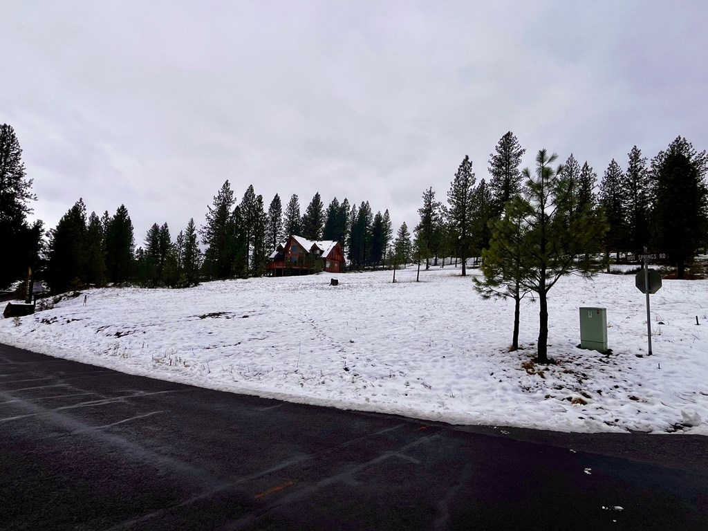 B11-l9 Hot Springs Road, Unit 9 New Meadows, ID 83654 - Photo 6 of 20