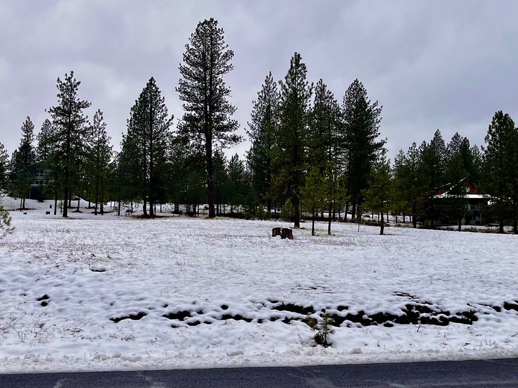 B11-l9 Hot Springs Road, Unit 9 New Meadows, ID 83654 - Photo 8 of 20