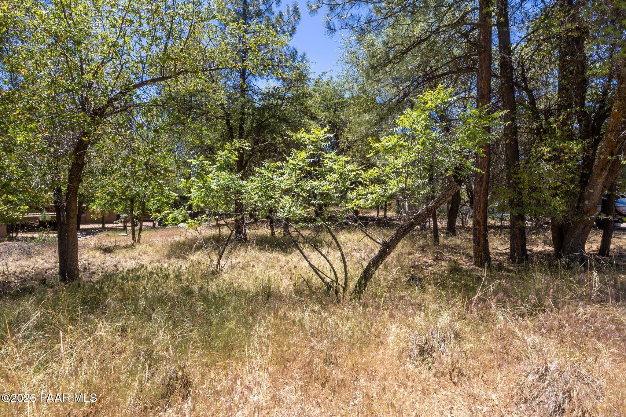 4120 South Stagecoach Road Prescott, AZ 86303 - Photo 4 of 12 009-Land