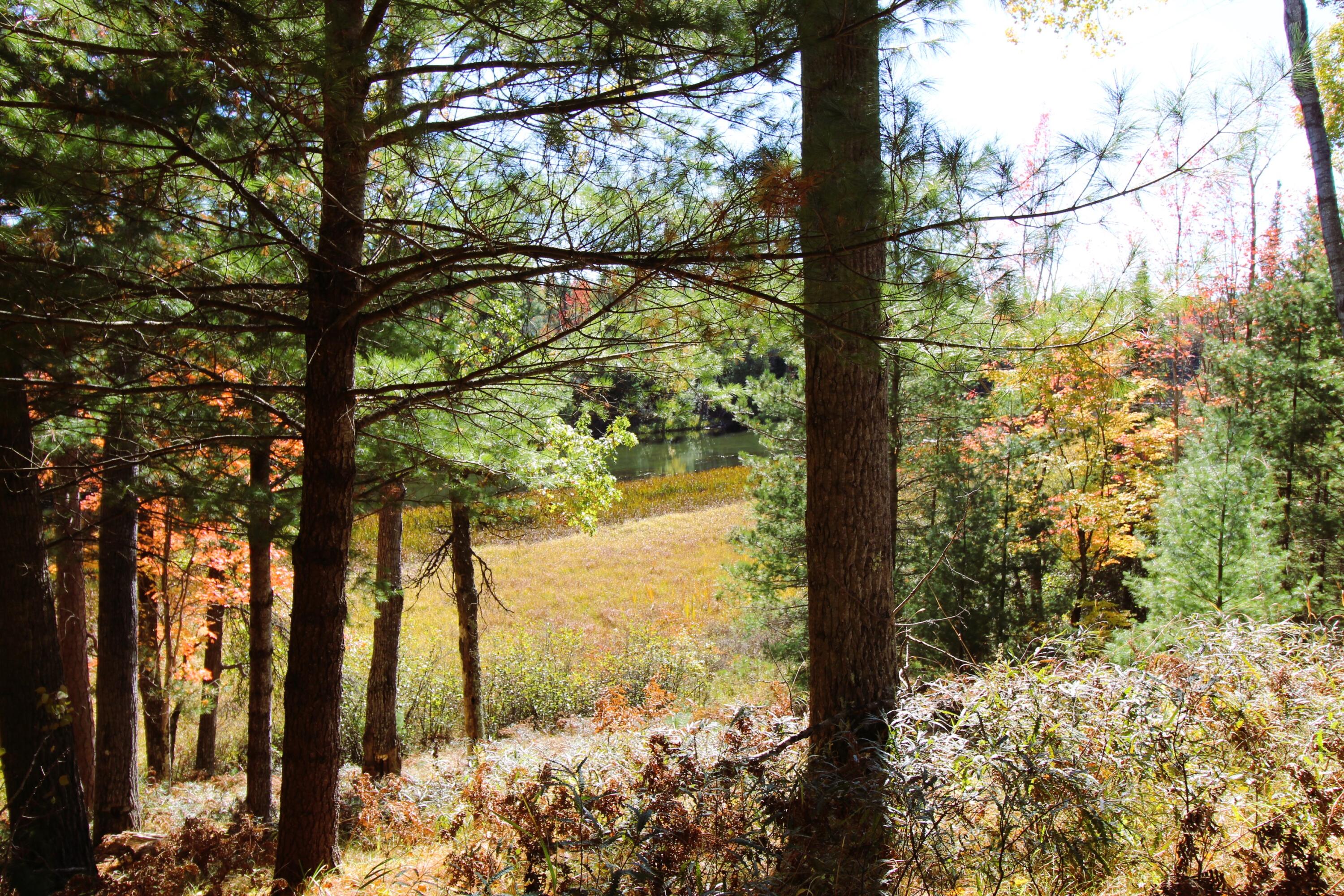8172 Conners Flat Road Grayling, MI 49738 - Photo 41 of 46 Gallery Image 41