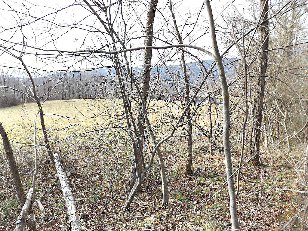 Tbd Peters Hollow Road Elizabethton, TN 37643 - Photo 2 of 9 DSCF7940777