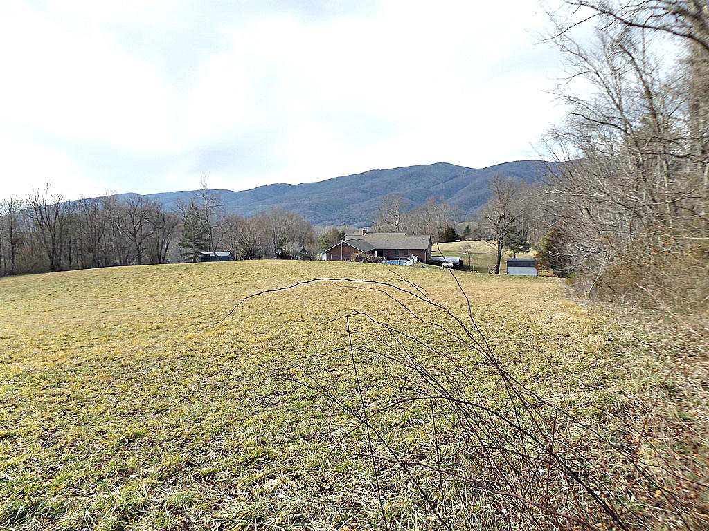 Tbd Peters Hollow Road Elizabethton, TN 37643 - Photo 4 of 9 DSCF7936777