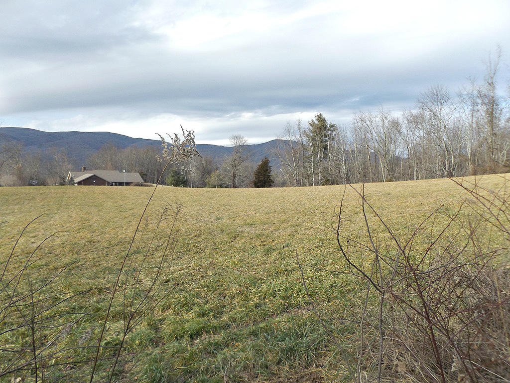 Tbd Peters Hollow Road Elizabethton, TN 37643 - Photo 5 of 9 DSCF7935777