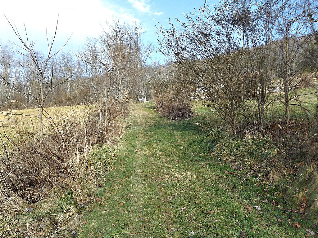 Tbd Peters Hollow Road Elizabethton, TN 37643 - Photo 6 of 9 DSCF7934777