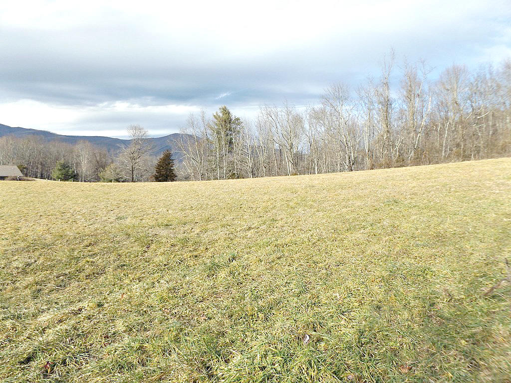 Tbd Peters Hollow Road Elizabethton, TN 37643 - Photo 8 of 9 DSCF7930777