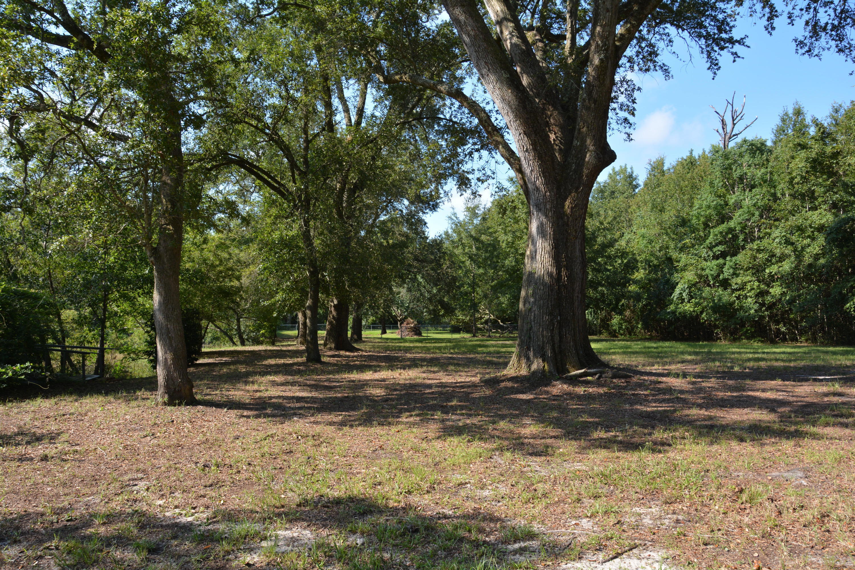5081 Beatline Road Long Beach, MS 39560 - Photo 74 of 76 DSC_9257