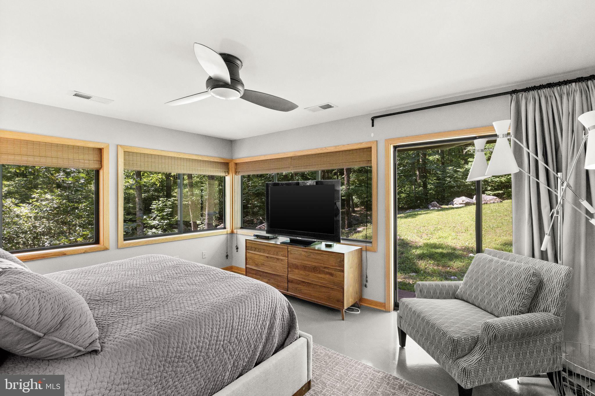 1319 Champe Plain Road Etlan, VA 22719 - Photo 26 of 63 Primary Bedroom with Sliding Glass Doors