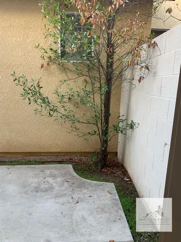 a view of a pathway in a yard