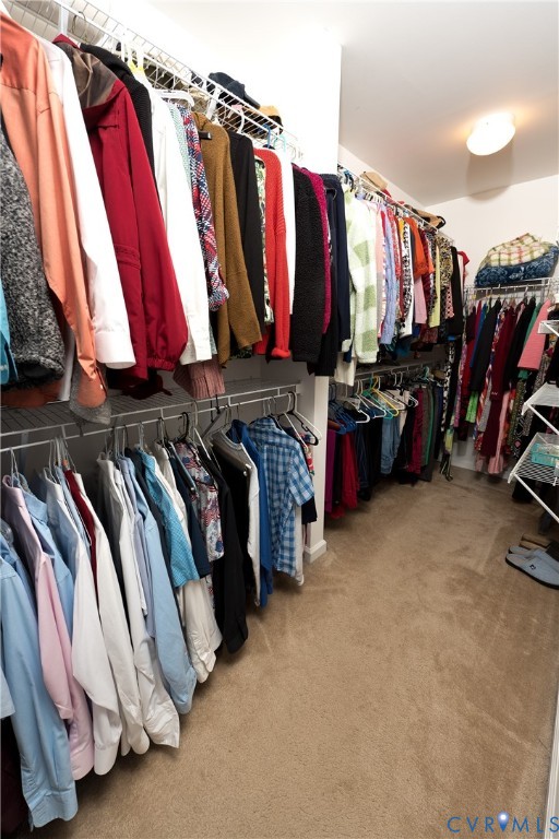 10343 Colony Bee Place Mechanicsville, VA 23116 - Photo 26 of 50 a view of a walk in closet
