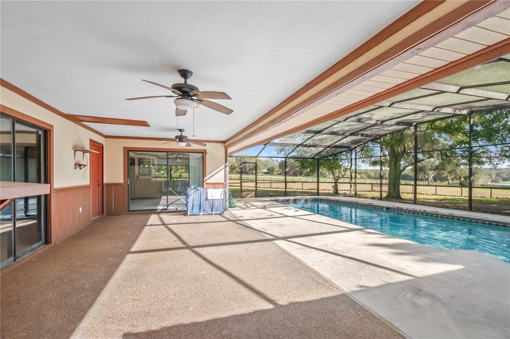 2902 Marion County Road Weirsdale, FL 32195 - Photo 45 of 86