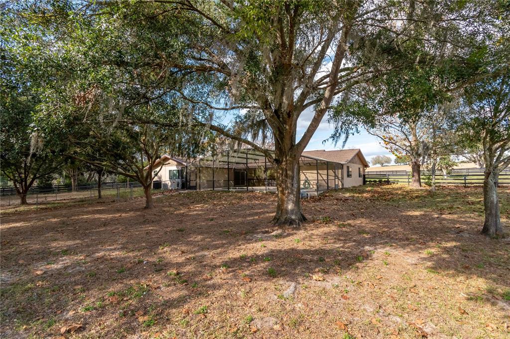2902 Marion County Road Weirsdale, FL 32195 - Photo 52 of 86