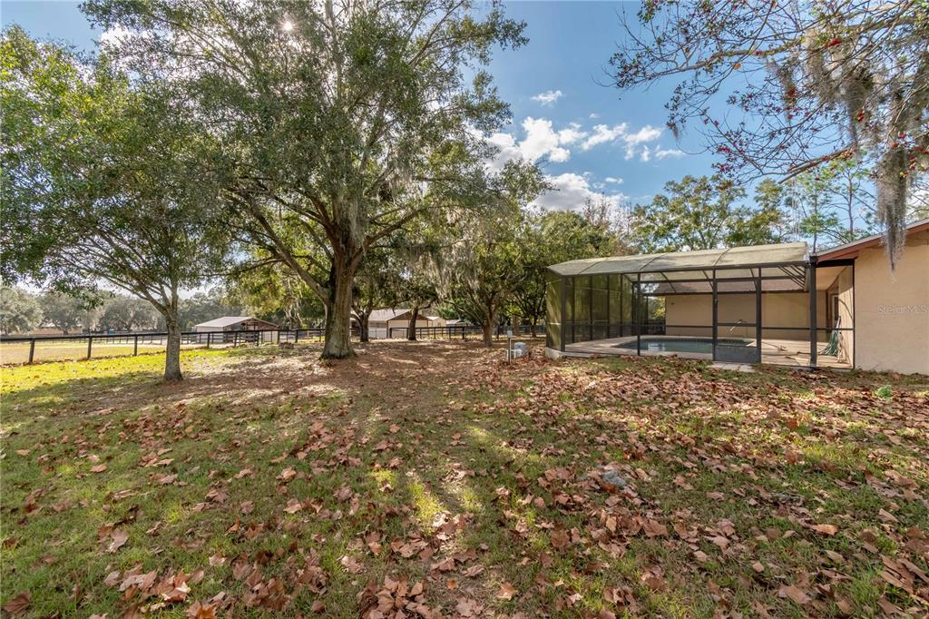 2902 Marion County Road Weirsdale, FL 32195 - Photo 54 of 86