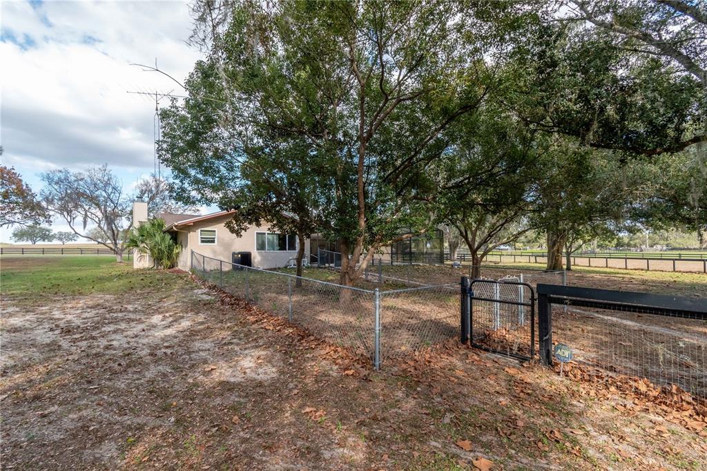 2902 Marion County Road Weirsdale, FL 32195 - Photo 58 of 86