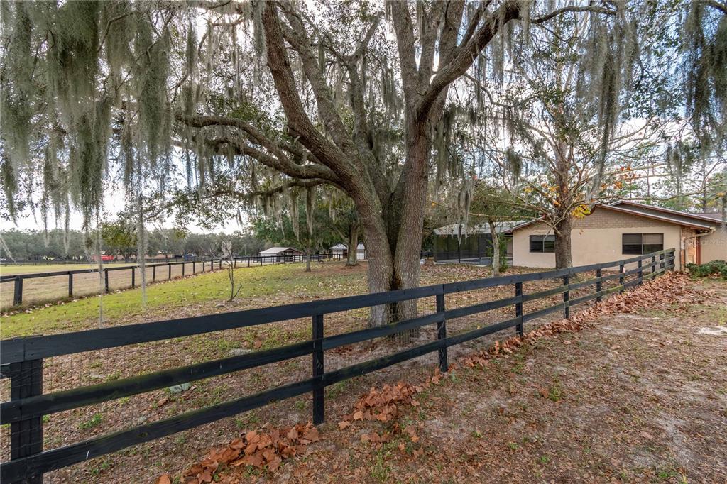 2902 Marion County Road Weirsdale, FL 32195 - Photo 59 of 86