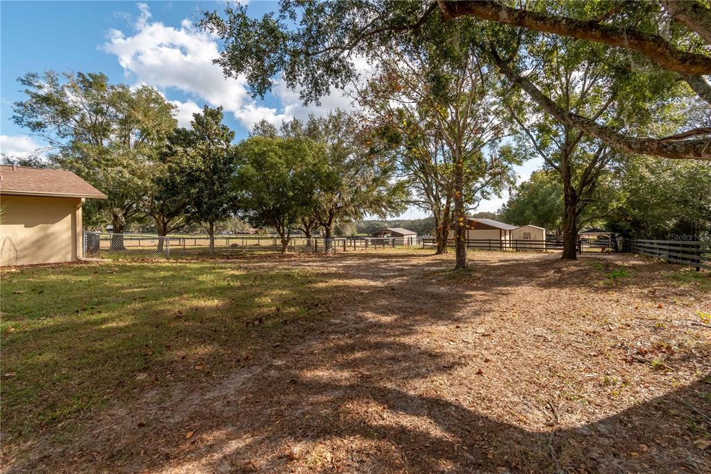 2902 Marion County Road Weirsdale, FL 32195 - Photo 60 of 86