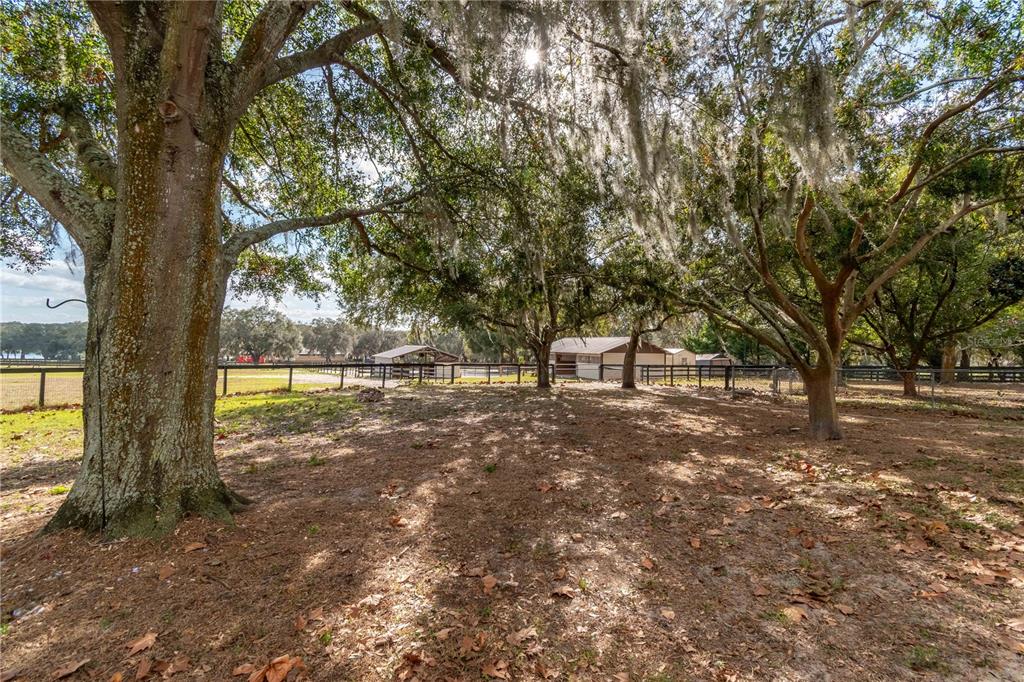 2902 Marion County Road Weirsdale, FL 32195 - Photo 61 of 86