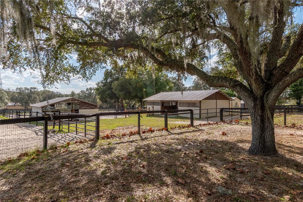 2902 Marion County Road Weirsdale, FL 32195 - Photo 62 of 86