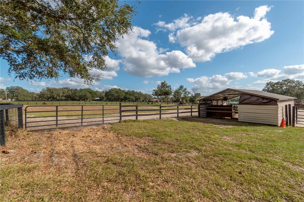 2902 Marion County Road Weirsdale, FL 32195 - Photo 71 of 86