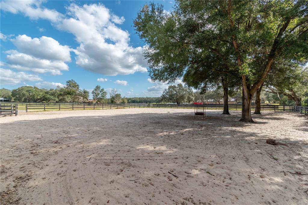 2902 Marion County Road Weirsdale, FL 32195 - Photo 74 of 86