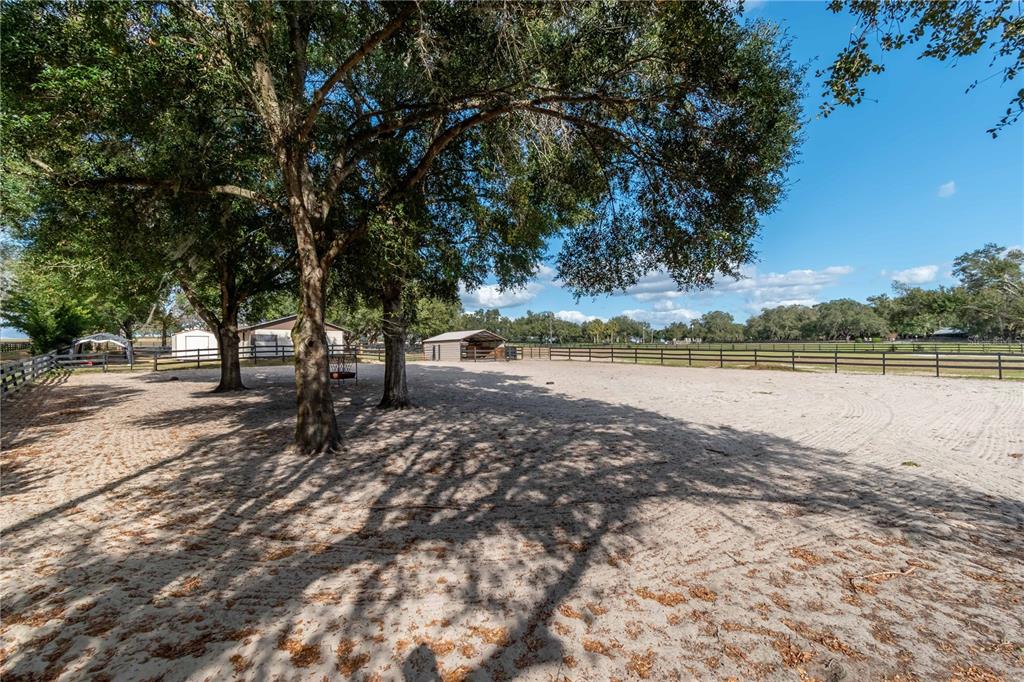 2902 Marion County Road Weirsdale, FL 32195 - Photo 75 of 86