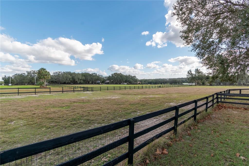 2902 Marion County Road Weirsdale, FL 32195 - Photo 79 of 86