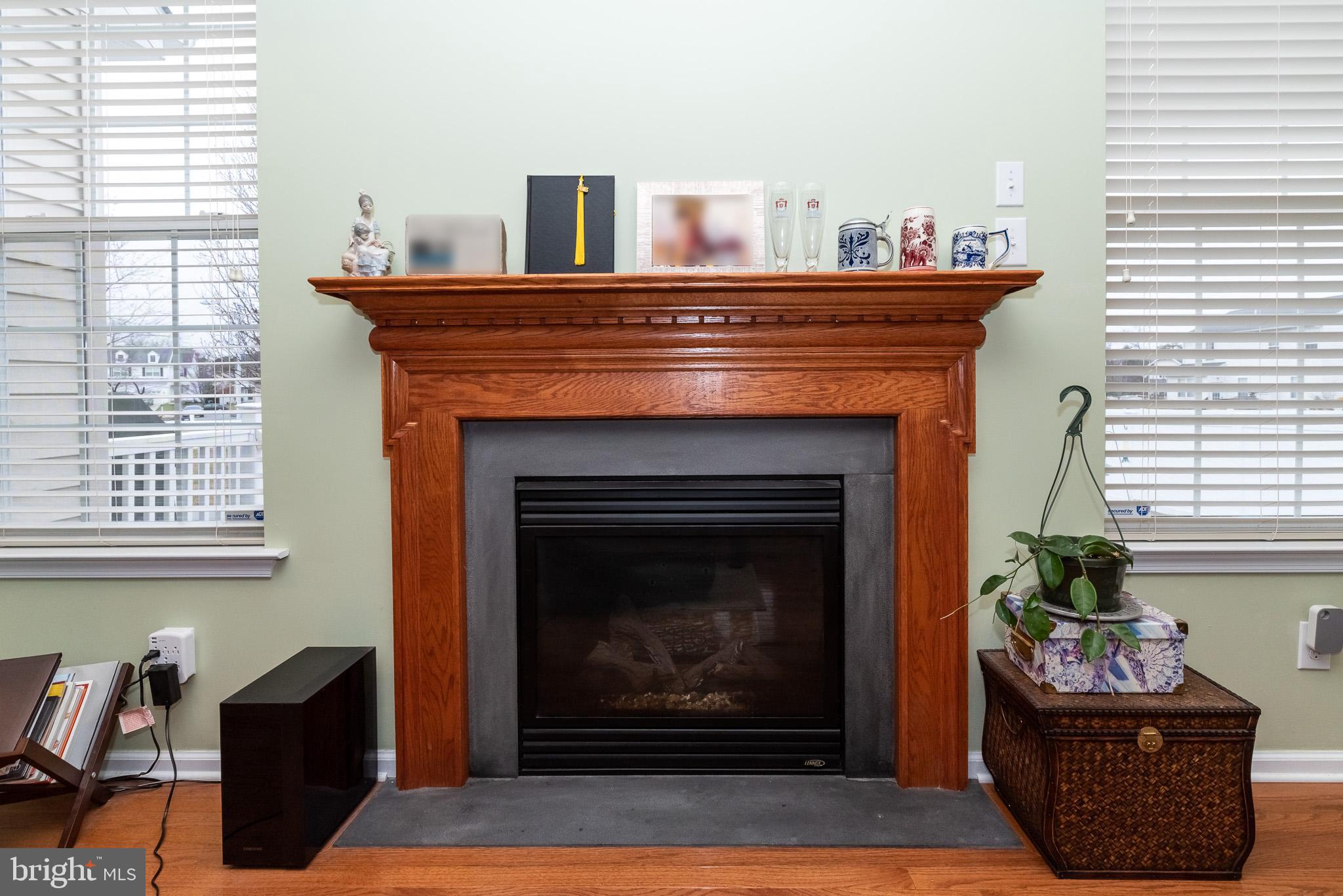 162 Pheasant Run Road Mays Landing, NJ 08330 - Photo 9 of 42 Gallery Image 9
